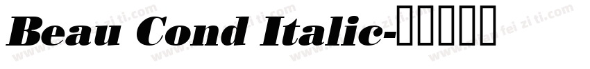 Beau Cond Italic字体转换